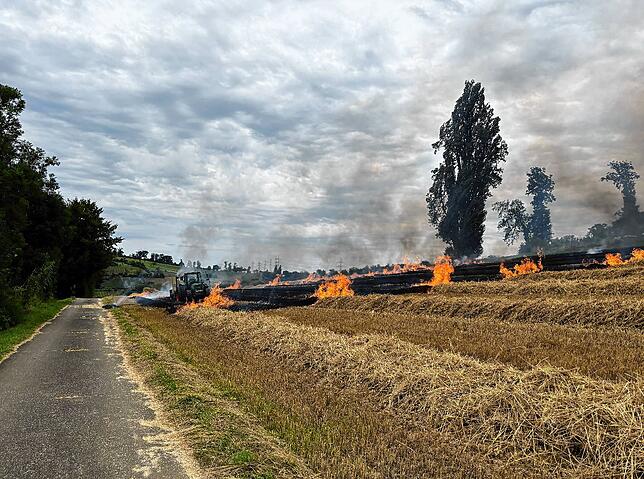 Feuer auf einem Feld in Muttenz.