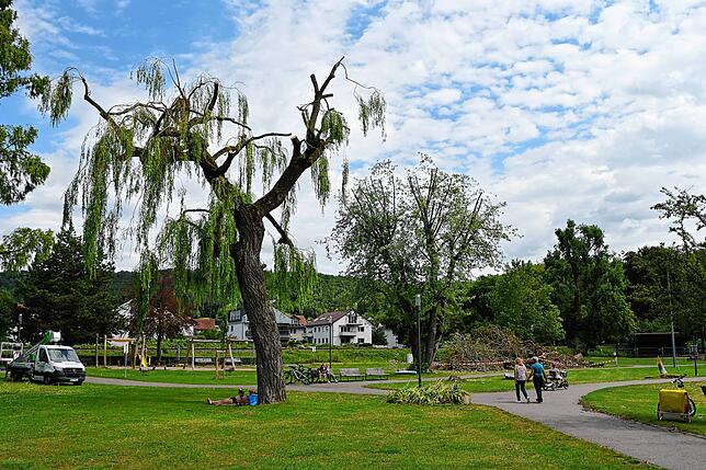 Der Stand der Aufräumarbeiten am Wochenende nach dem Sturm in Bodman-Ludwigshafen – hier der Schlösslepark.