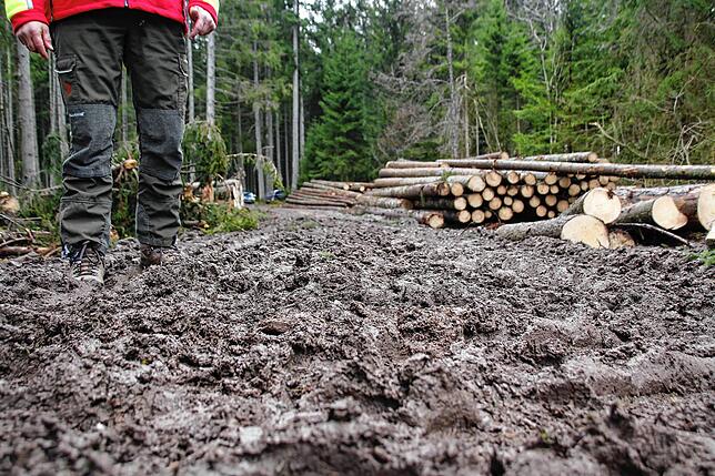 Tief und matschig ist der Waldboden und deshalb für die großen Maschinen schwer zugänglich.