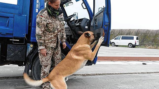 Bundeswehr-Soldatin Susan W. und Spürhund Ferox bei der Kontrolle eines Autos. Der vollständige Name der Soldatin ist der Redaktion ...