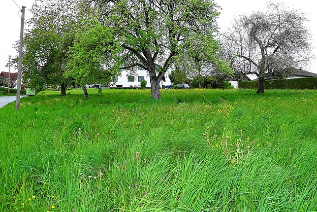 Auf diesem Grundstück am südlichen Ortseingang von Limpach möchte ein Bauherr ein Gebäude errichten. Aktuell wurde der Antrag auf ...
