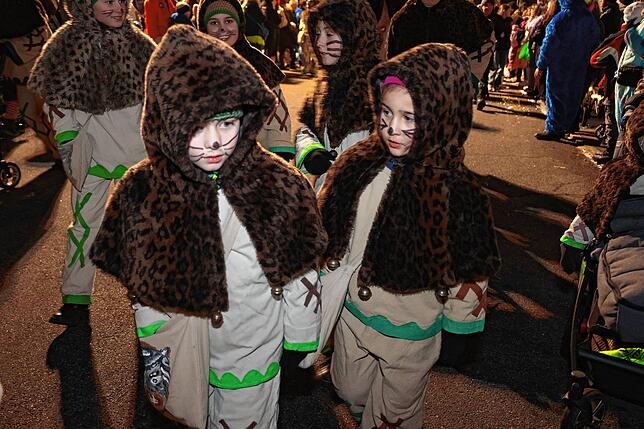 Bild 2: 21. Nachtumzug der Wolfbach-Rolli: Fasnet beginnt mit Vollgas