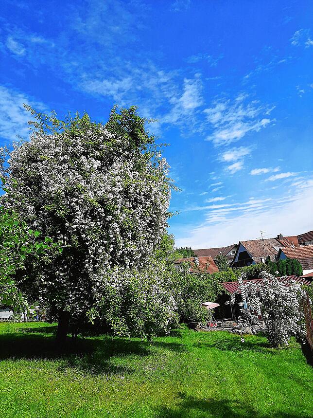 Bild 10: #SKverbindet: Das sind die schönsten Gartenprojekte unserer Leser