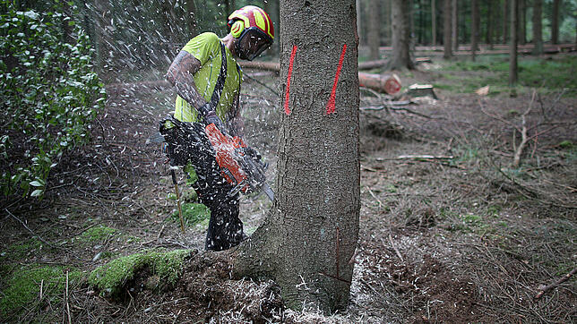 Aufgrund der neuen EU-Vorgabe befürchten Naturschützer nun erhebliche Auswirkungen auf die Natur.