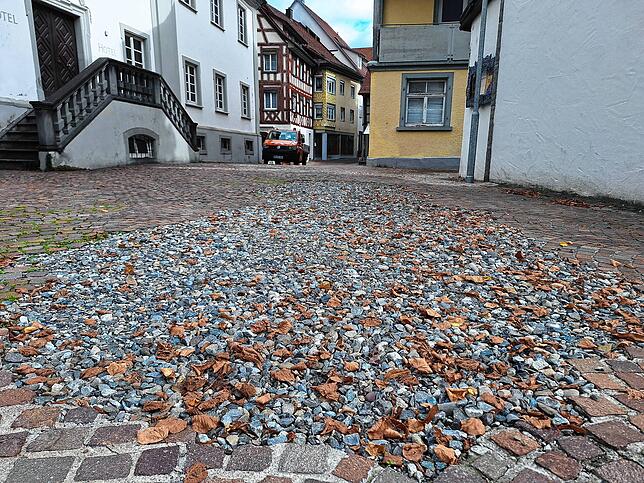 Da kündigt sich schon die nächste Baustelle an: Auch auf dem Schlosshof ist das Pflaster an vielen Stellen stark beschädigt oder, wie ...