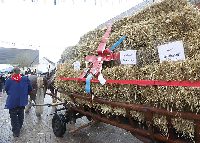 Bild 27: Bilder zum großen Narrentreffen in Pfohren (2)