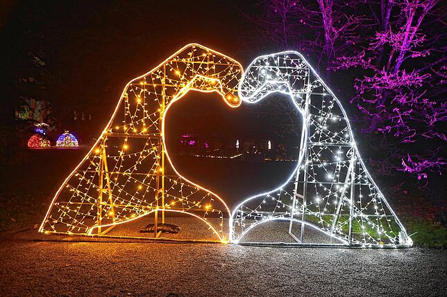 Bild 4: Insel Mainau: Bilder vom Start des Christmas Garden 2023 - Teil 1