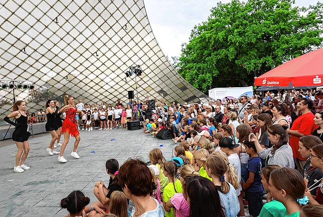 Bild 3: Hausherrenfest Kulturprogramm am Radolfzeller Uferbereich! – Hier die schönsten Einblicke!