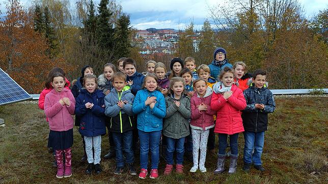 Der Chor der Eichendorffschule singt beim Donaulied ebenso mit, wie der Männergesangverein Allmendshofen.
