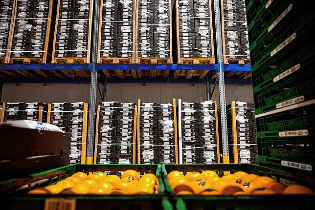 Herkömmliche Lieferketten sehen vor, dass alle Früchte in Kühlhäusern warten, bis die Supermärkte sie abholen – so wie hier in Hamburg.