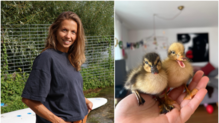 Tina Bühler aus Friedrichshafen hat mit ihrer Familie verlassene Entenküken aufgezogen.