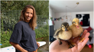 Tina Bühler aus Friedrichshafen hat mit ihrer Familie verlassene Entenküken aufgezogen.