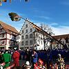 Pfullendorf hat wieder einen Narrenbaum.