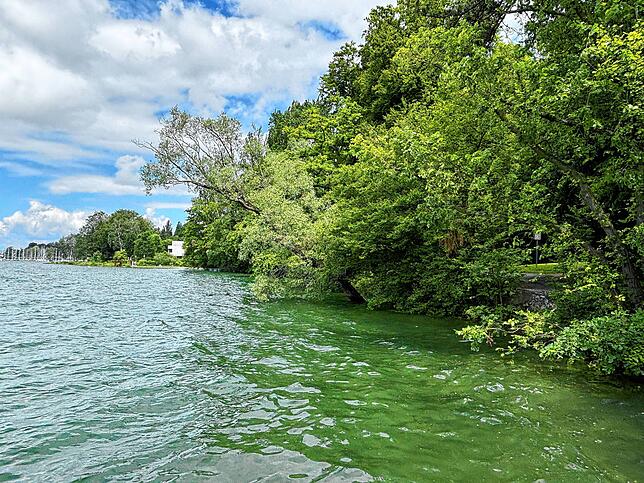 Der Blick in Richtung Yachthafen: Meist kommt man hier trockenen Fußes entlang – derzeit jedoch nicht.