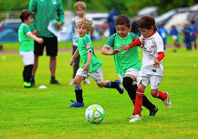 Bild 9: Unsere große Bildergalerie vom Bambini-Turnier beim Schlossseecup des FC RW Salem