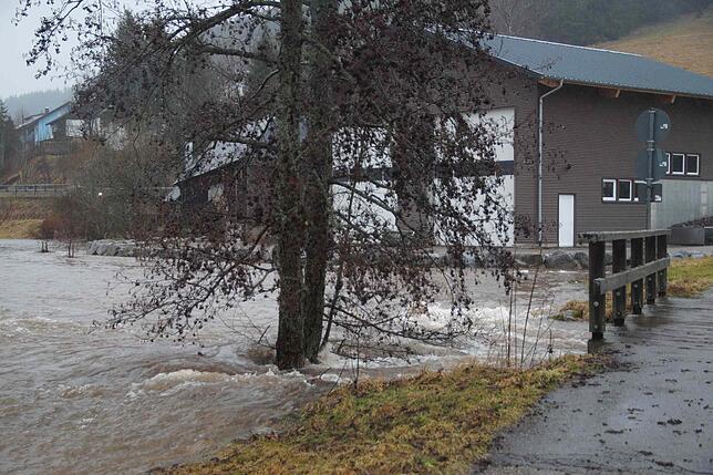 Bild 7: Land unter im Bregtal &ndash; Feuerwehren sind im Einsatz