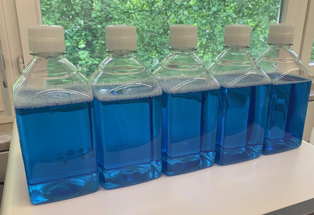 Ein Liter dieser Flüssigkeit kann bis zu 100.000 Patienten auf das Coronavirus testen.