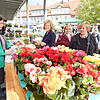 Für den Geranienmarkt verwandelte sich der Oberrheinplatz in eine farbenprächtige Blumenwiese auf der es den vielen Besuchern sichtlich ...