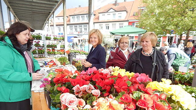 Für den Geranienmarkt verwandelte sich der Oberrheinplatz in eine farbenprächtige Blumenwiese auf der es den vielen Besuchern sichtlich ...