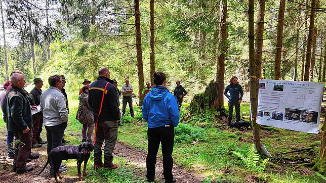 Mitarbeiter der forstlichen Versuchs- und Forschungsanstalt Freiburg stellen das Projekt vor, das bei der klimaresistenten ...