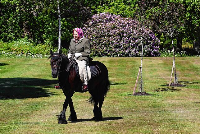 Königin Elizabeth II. reitet am 01.06.2020 im Windsor Home Park auf dem 14-jährigen Fell-Pony Balmoral Fern. Die Königin hält sich ...