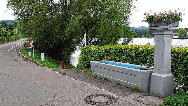 Der Dorfbrunnen am Rheinufer soll attraktiver gestaltet werden. Nach der Umgestaltung wird er eine der "Perlen" des Projektes Rheinliebe ...