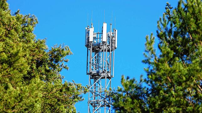 Einen Mast mit Mobilfunk-Antennen wollen hunderte Wangener Bürger nicht in ihrer Bucht (Symbolbild).