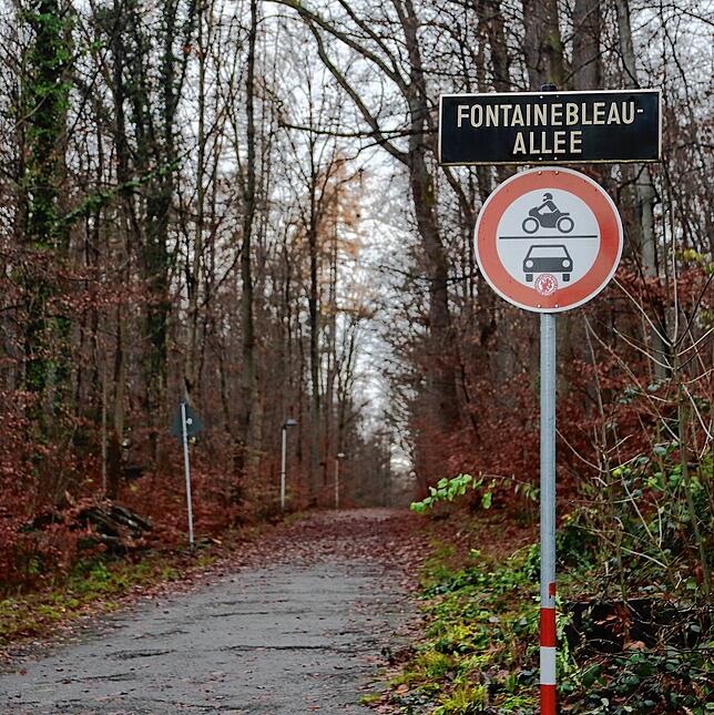 Die Fontainebleau-Allee: Bis zu 1000 Menschen gehen hier im Sommer entlang.