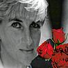 Rosen für die unsterbliche Prinzession von Wales. Im vergangenen August dachten nicht nur viele Briten an Lady Diana, die vor 25 Jahren ...