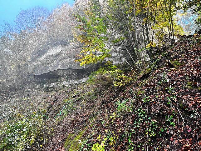 Eine Felspartie unterhalb der Ruine Kargegg. Der Fels wurde für die kommenden Sicherungsarbeiten freigestellt.