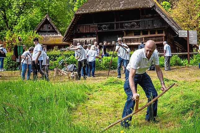 „Vom Dengeln und Sensen“ lautet das Thema des traditionellen Aktionstages an Christi Himmelfahrt, Donnerstag, 29. Mai, im Schwarzwälder ...
