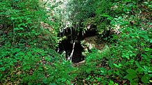 Der Boden rund ums Teufelsloch im Rheinfelder Ortsteil Nordschwaben ist tückisch: Der Lehmboden wird bei Nässe schnell rutschig, und ...