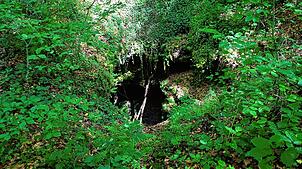 Der Boden rund ums Teufelsloch im Rheinfelder Ortsteil Nordschwaben ist tückisch: Der Lehmboden wird bei Nässe schnell rutschig, und ...