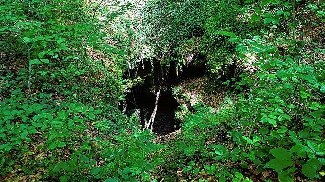 Der Boden rund ums Teufelsloch im Rheinfelder Ortsteil Nordschwaben ist tückisch: Der Lehmboden wird bei Nässe schnell rutschig, und ...
