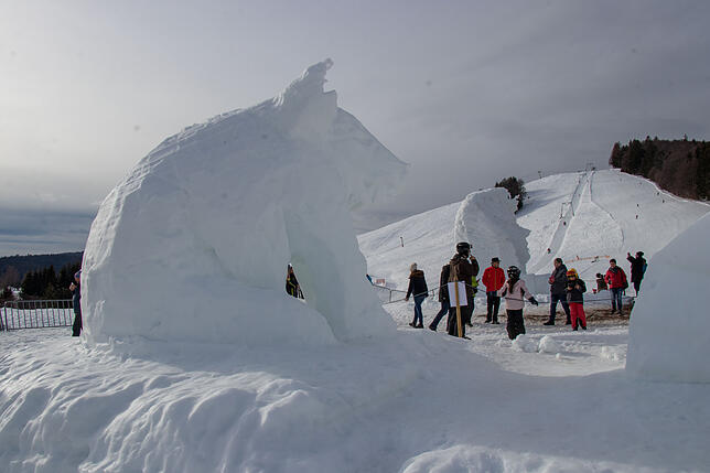 Bild 22: Eiskalte Kunst entsteht beim dritten Schneeskulpturenfestival in Bernau