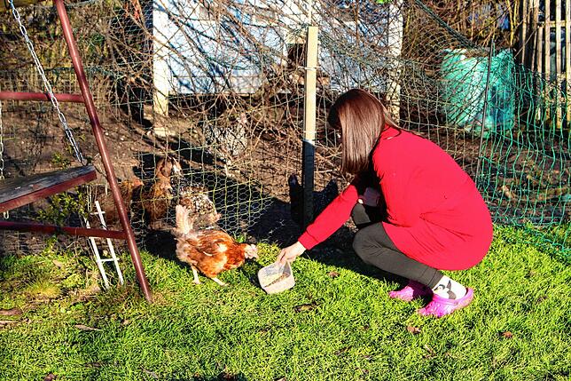 Cindy Krischel füttert ein Huhn.