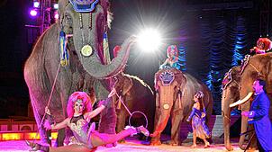 (Archivbild von 2016) Schon beim letzten Besuch des Circus Krone 2015 begeisterten die Artisten die Besucher. So soll es auch ab 28. ...