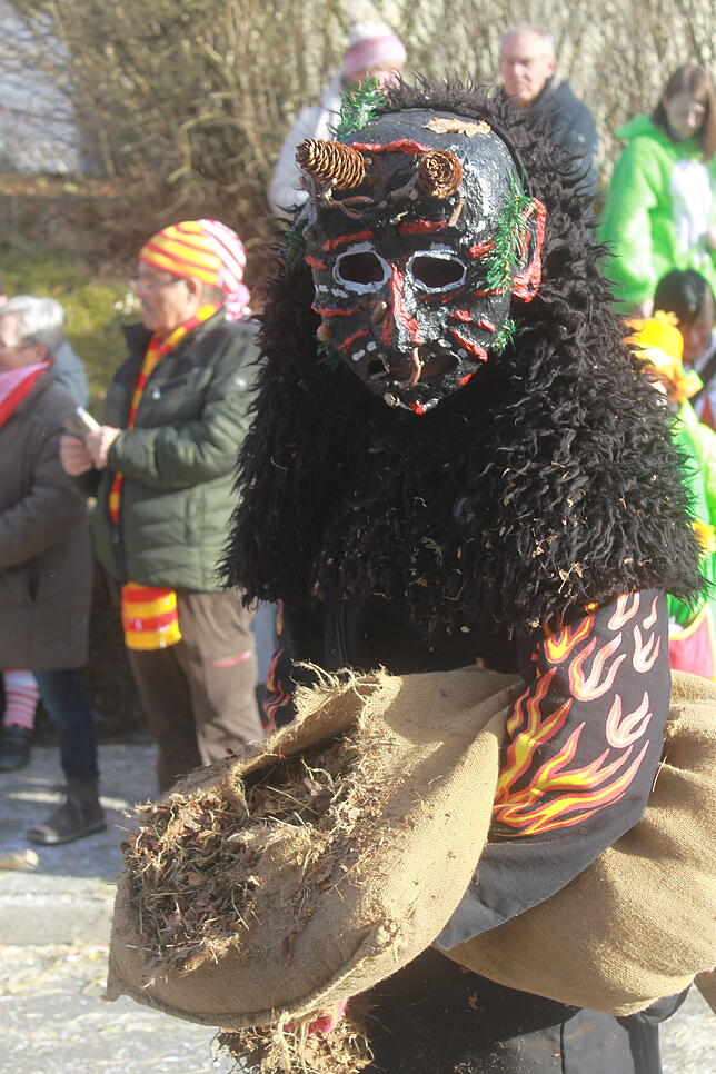 Bild 12: Bilder vom Narrentreffen zum 40. Jubiläum der Kuhsattler aus Hohenfels