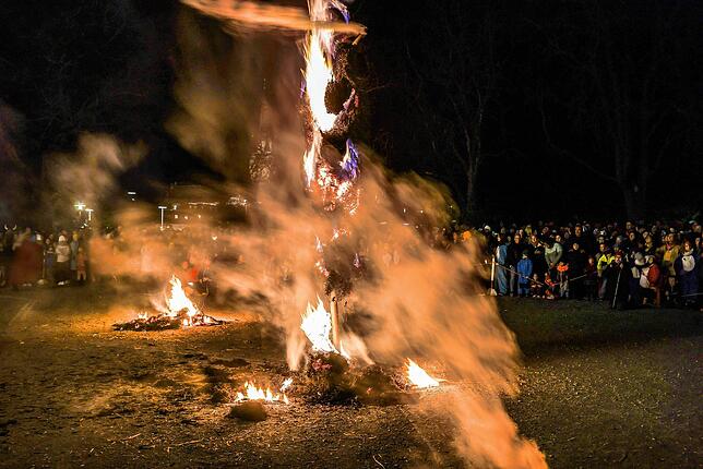 Bild 13: Fastnachtsverbrennung in Radolfzell