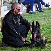 Michael Wilkesmann ist erster Vorstand des Vereins für Hundesport und Hundefreunde Konstanz.