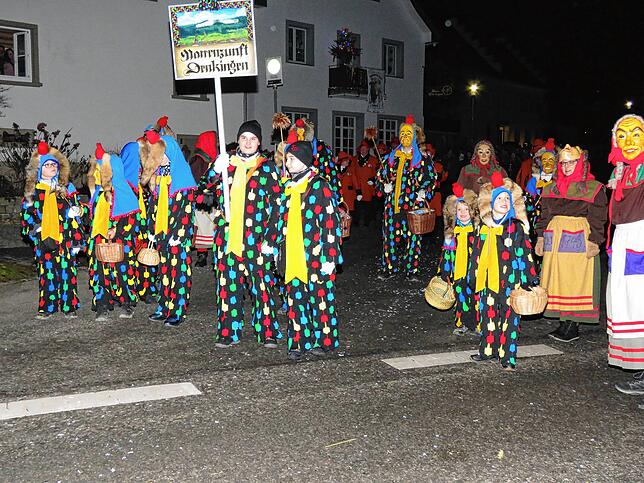 Bild 14: Mit dem Nachtumzug startet das Narrentreffen in Gutmadingen