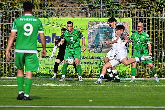 Bild 15: SV Herten besiegt den VfB Waldshut mit 6:2 – und wir haben Fotos!