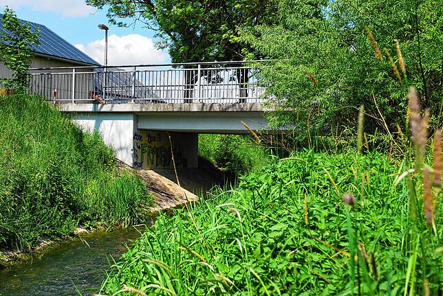 Der Klingengraben in Erzingen beim Schwimmbad ist ein vermeintliche harmloser kleiner Bach, schwillt aber nach Regen bedohlich an.