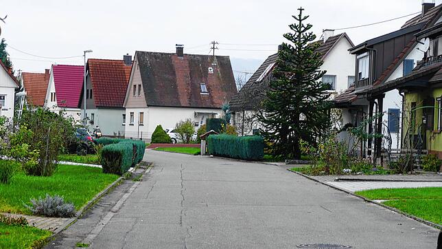 Das Grün und die Nachbarschaft machen den Charme und den Grundgedanken der Siedlung aus, wie hier die Belchenstraße in Rheinfelden. ...