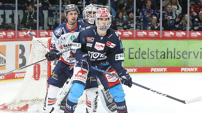 Obwohl der junge Stürmer Daniel Neumann (vorne) erst im November zu den Wild Wings kam, konnte er die Fans schnell von sich überzeugen.