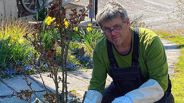 Gartenexperte Edgar Koller aus Wutöschingen beim Schneiden einer Strauchrose.