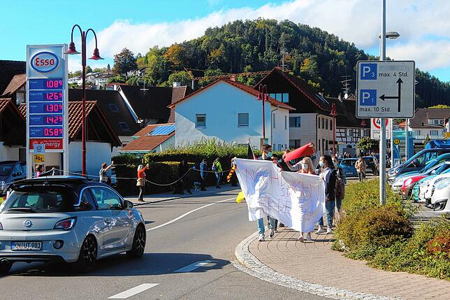 Bild 8: Bilder von der &bdquo;Querdenker&ldquo;-Menschenkette in Bodman-Ludwigshafen