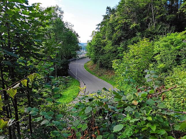 Die Serpentinen der Kalvarienbergstraße führen durch den Wald in die Bergstadt. Fußgänger nehmen den Stationenweg, der an Denkmalen von ...