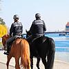 Polizeiobermeisterin Julia Krieger (links) und Polizeioberkommissar Walter Horländer von der Polizeireiterstaffel Stuttgart waren mit ...