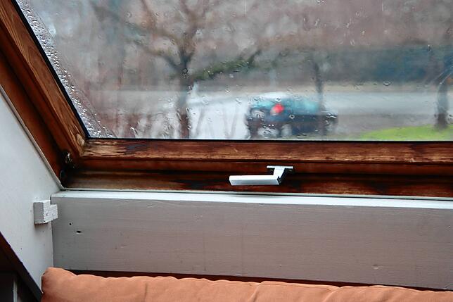 Auch im Hauptgebäude des Lollipop gibt es Verbesserungsbedarf – zum Beispiel sind Fenster undicht